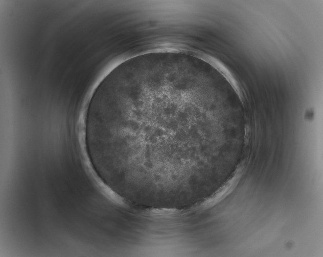 X0000102460859200808221617