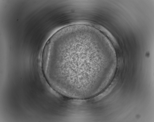 X0000102460860200808221617