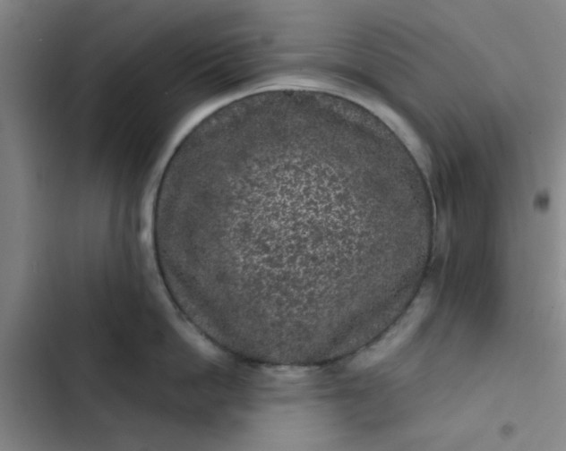 X0000102460862200808221617