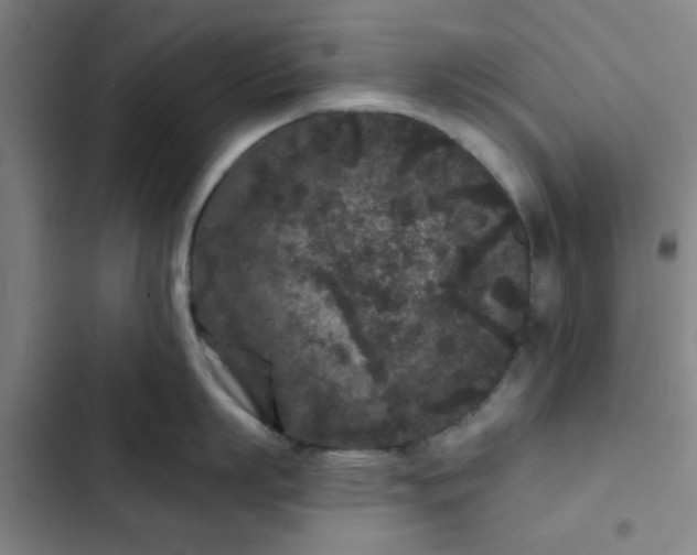 X0000102460863200808221617