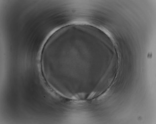 X0000102460864200808221617