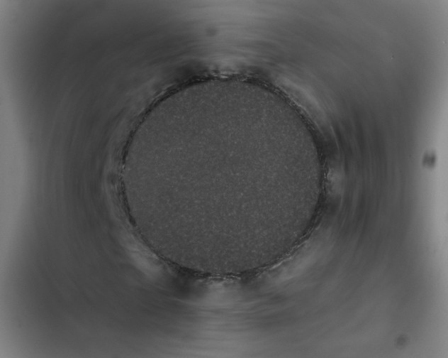 X0000102460865200808221617