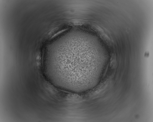 X0000102460866200808221617