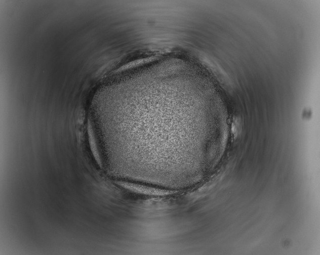 X0000102460867200808221617