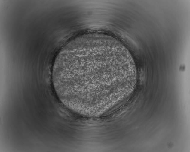 X0000102460868200808221617