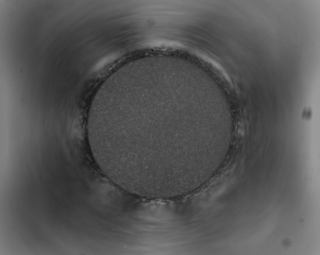 X0000102460869200808221617