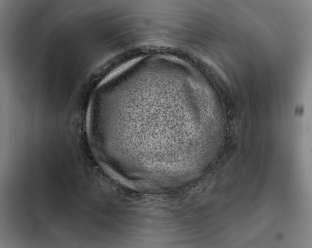 X0000102460870200808221617