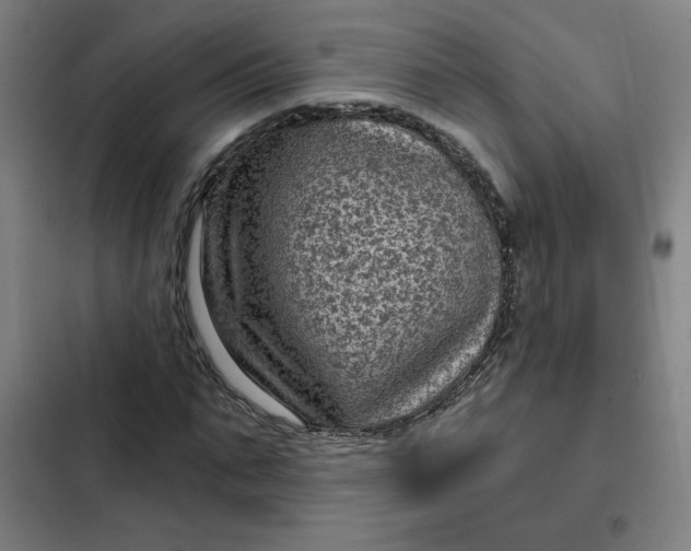 X0000102460871200808221617