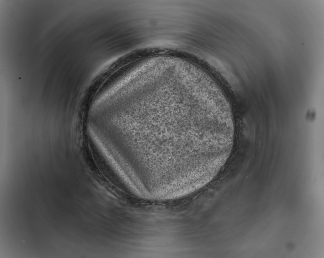 X0000102460872200808221617