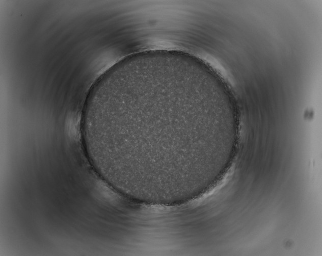 X0000102460873200808221616