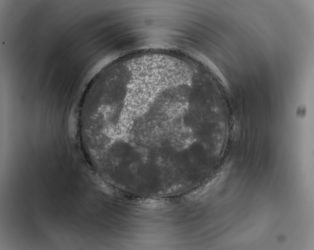 X0000102460874200808221616