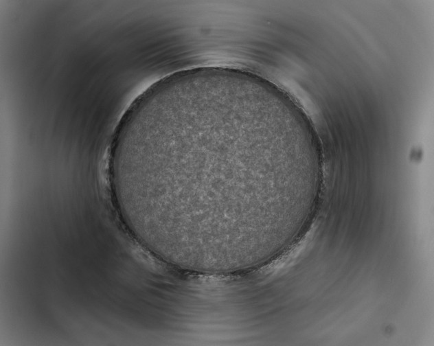 X0000102460875200808221616