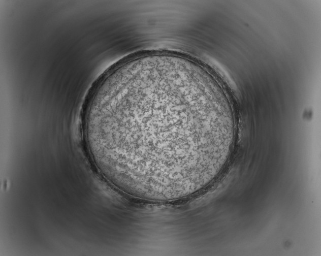 X0000102460876200808221616