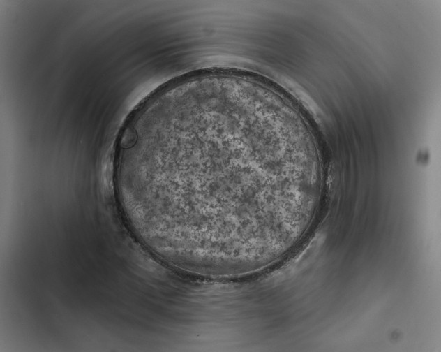 X0000102460877200808221616