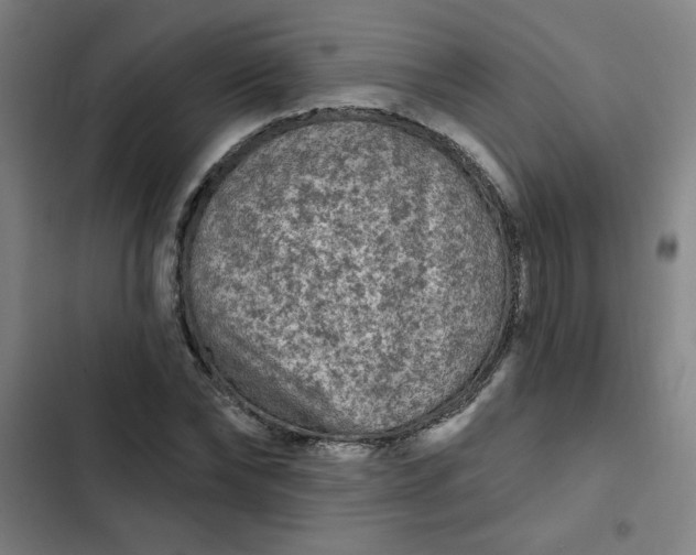 X0000102460878200808221616