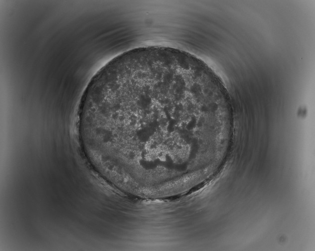 X0000102460879200808221616