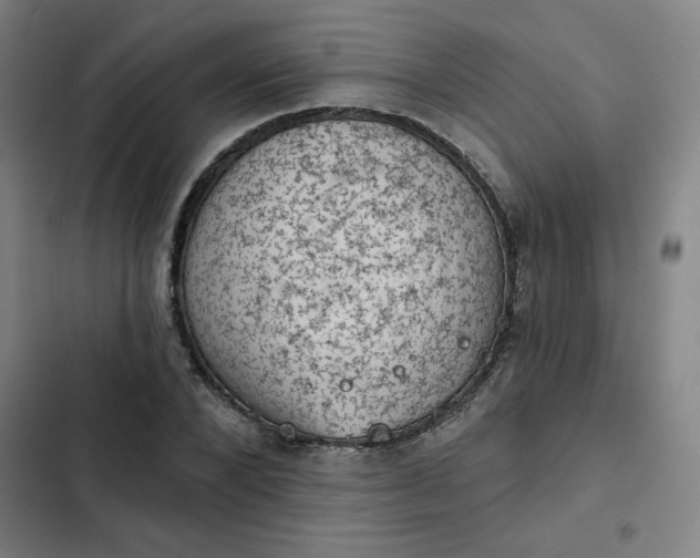 X0000102460880200808221616