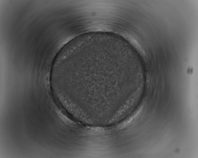 X0000102460881200808221616