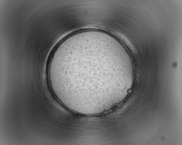 X0000102460884200808221616