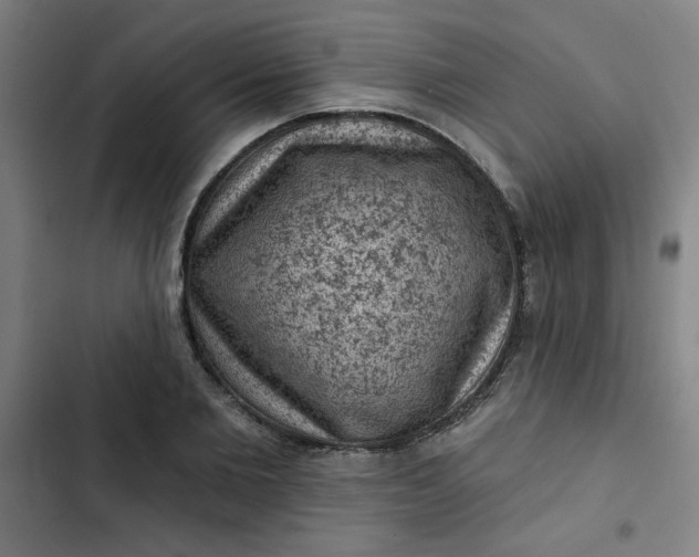 X0000102460885200808221616