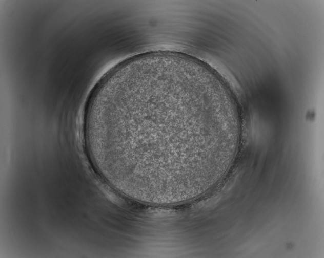 X0000102460886200808221616