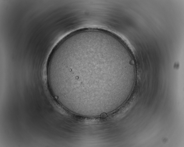 X0000102460887200808221616