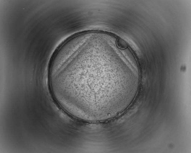 X0000102460888200808221616