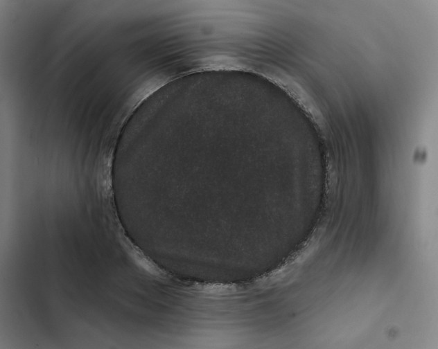 X0000102460889200808221616