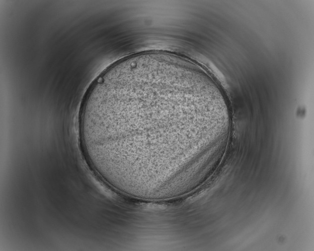 X0000102460890200808221616