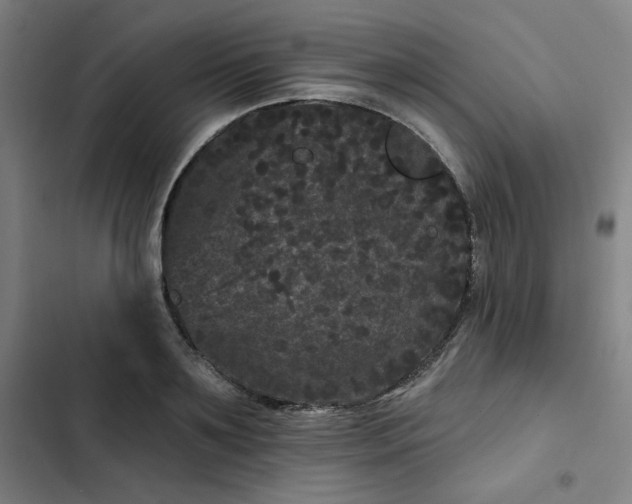 X0000102460891200808221616