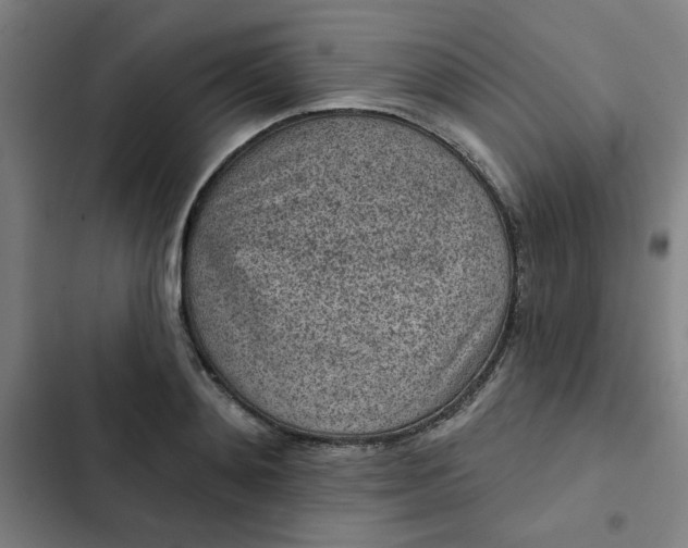 X0000102460892200808221616