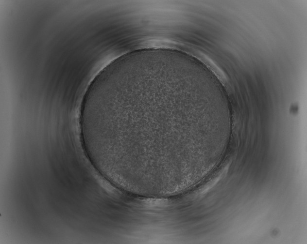 X0000102460893200808221616