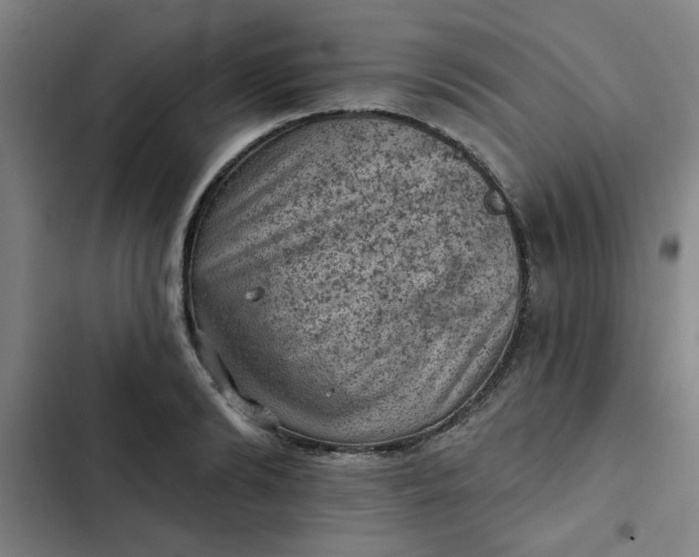 X0000102460894200808221616