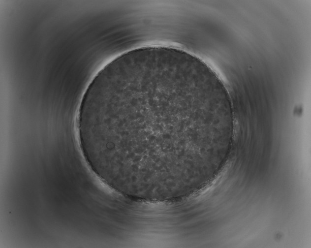 X0000102460895200808221616