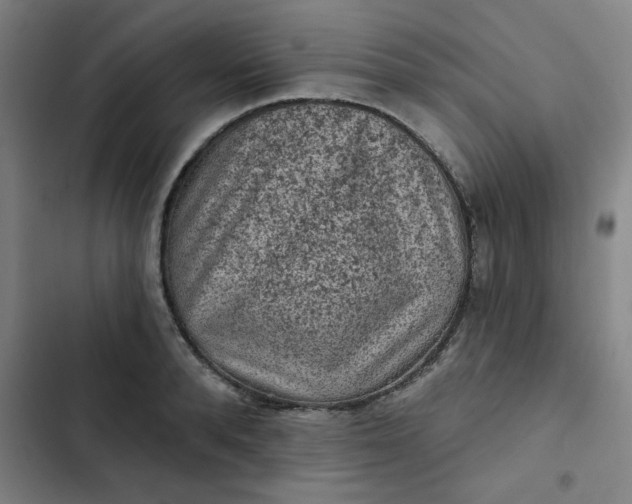 X0000102460896200808221616