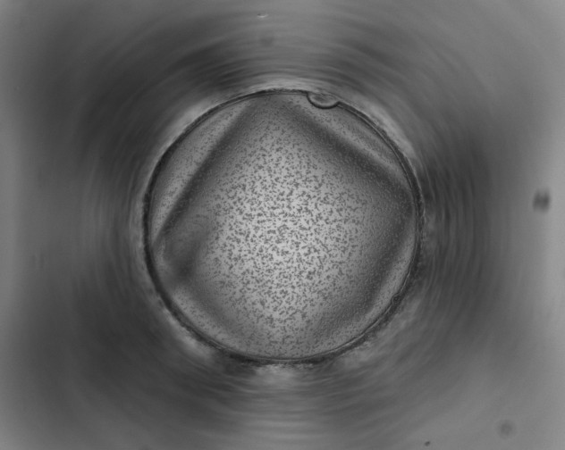 X0000102460898200808221616