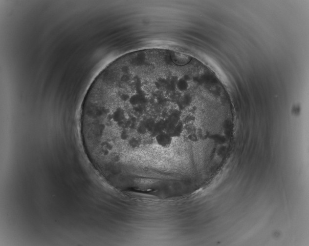 X0000102460899200808221616