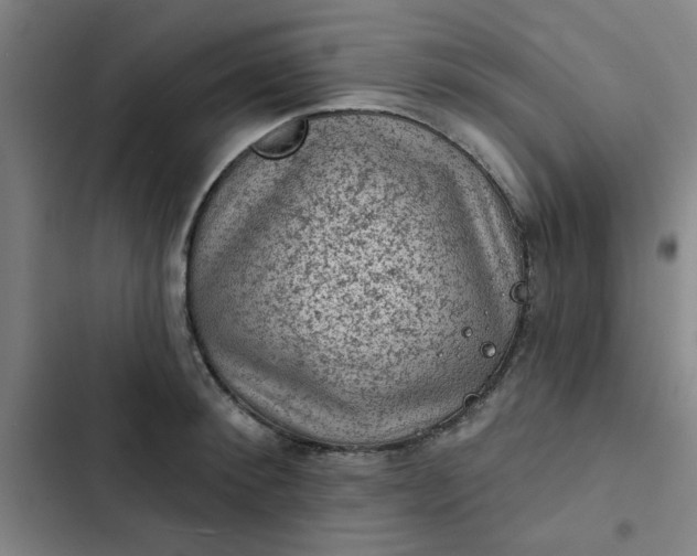 X0000102460900200808221616