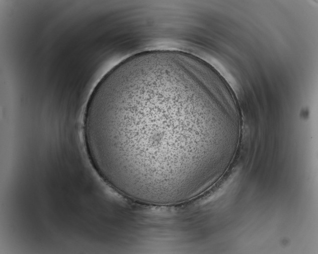 X0000102460901200808221616