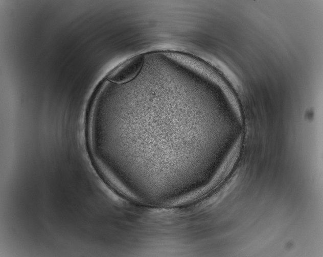 X0000102460902200808221616