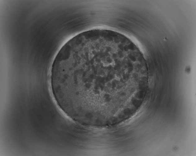 X0000102460903200808221616