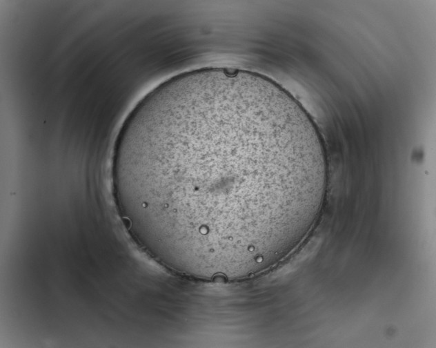 X0000102460904200808221616