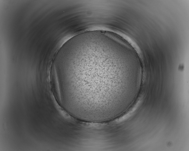 X0000102460905200808221616