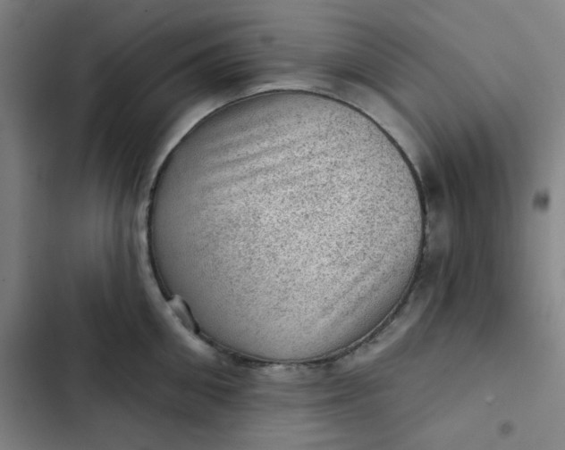 X0000102460906200808221616