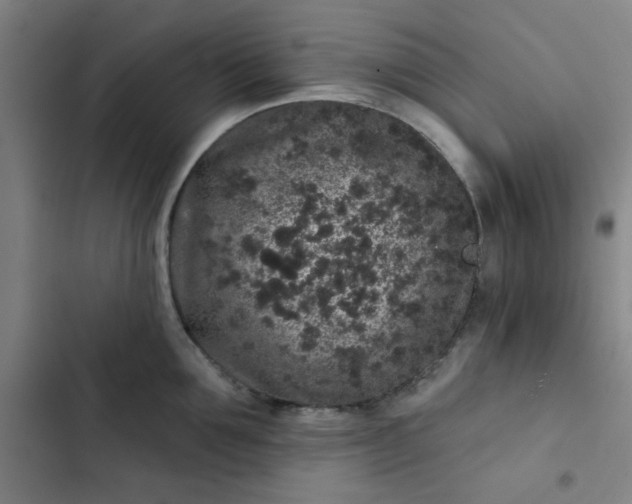 X0000102460907200808221616