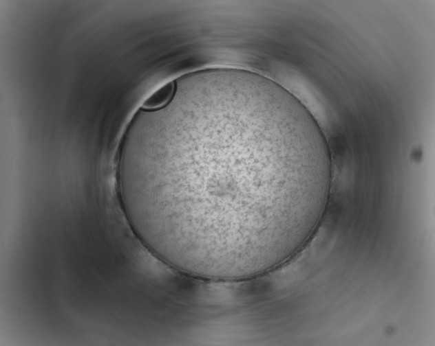 X0000102460908200808221616