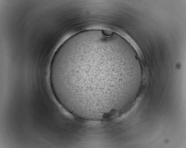 X0000102460909200808221616