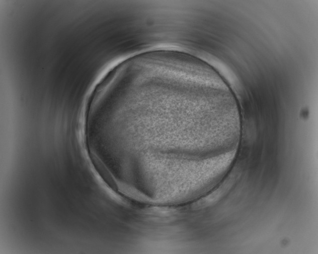 X0000102460910200808221616