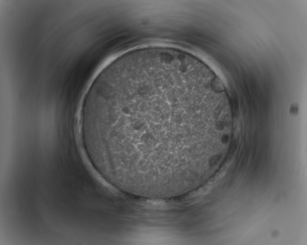 X0000102460911200808221616