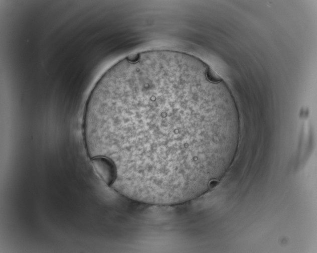 X0000102460912200808221616